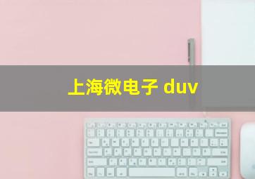 上海微电子 duv